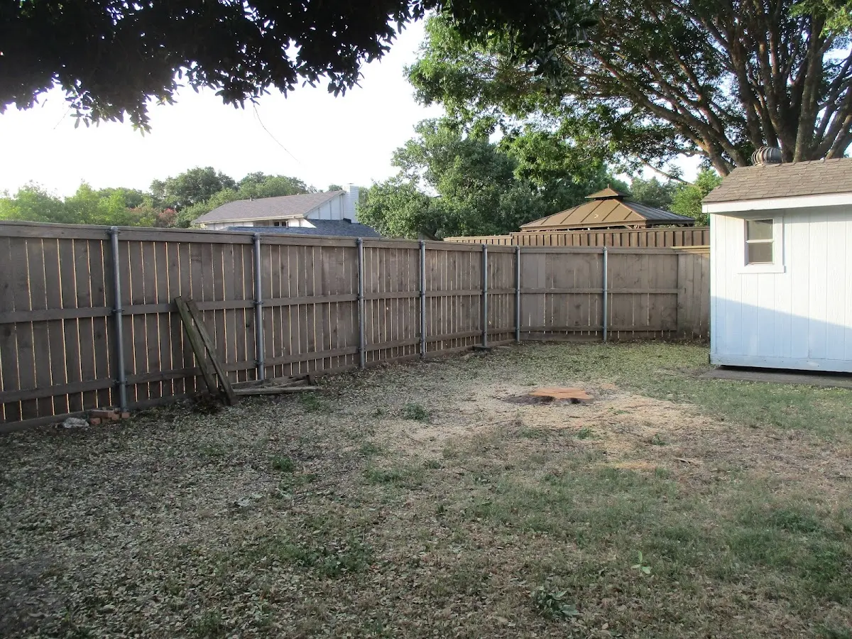 Cleared yard after professional tree removal in Drakesboro